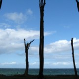 0709F 042 Travemuende-Usedom